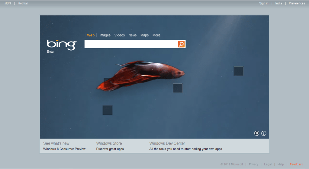 Expect Windows 8 - The Consumer Preview soon 1 Bing Windows 8 Page