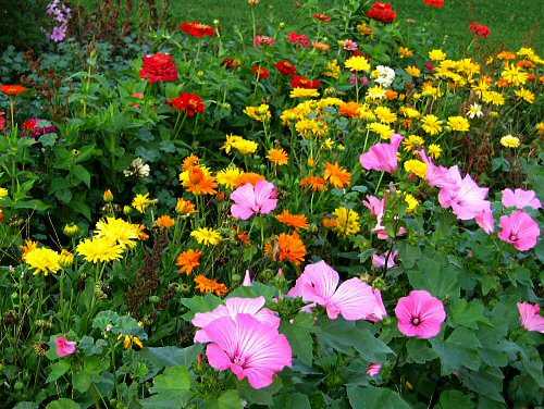 make a garden make a garden - Facebook Addiction