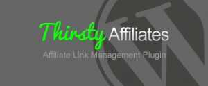 ThirstyAffiliates- Powerful Affiliate Marketing WordPress plugin